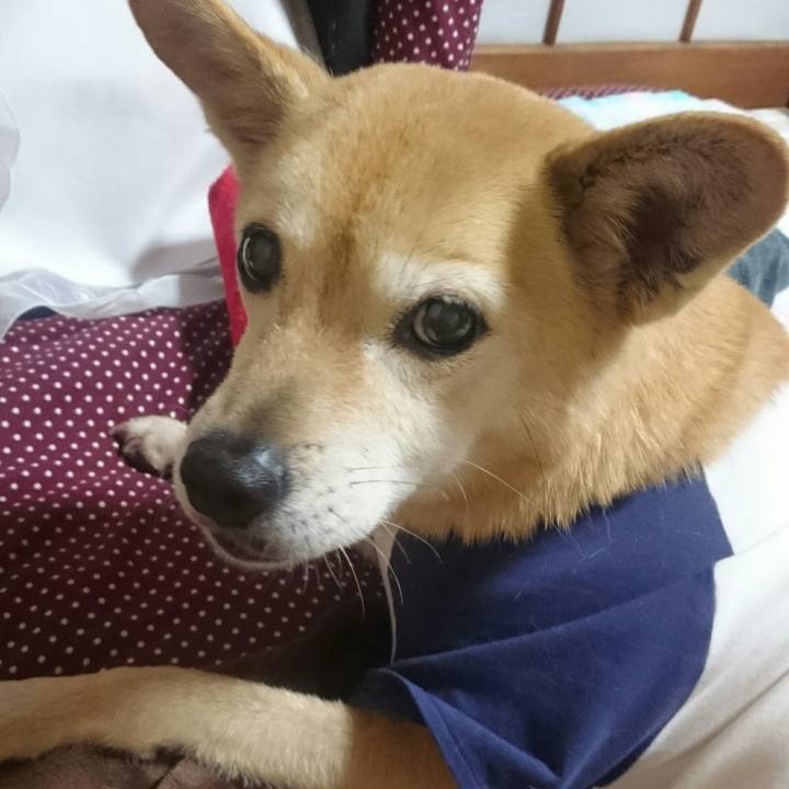 Dad0616d 03ce 42c6 a370 7e9c023e2f9a