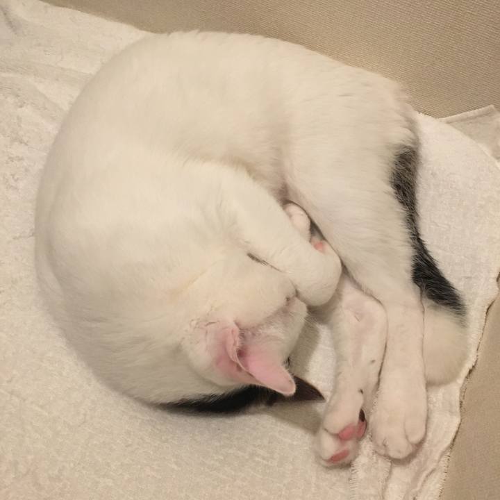 Dad0d177 20c0 4025 be84 625eeeaac0f4