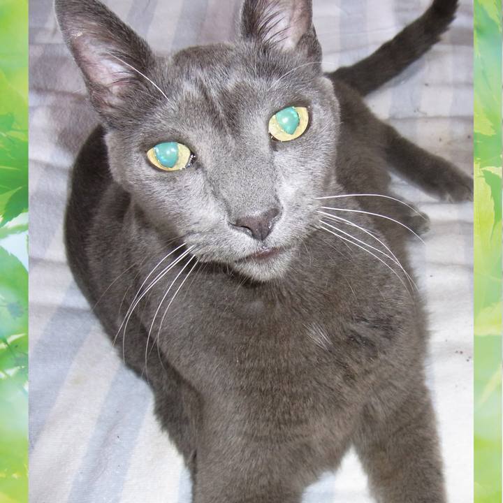 Dad0da45 581f 4632 b65f e5e8c673b0d9