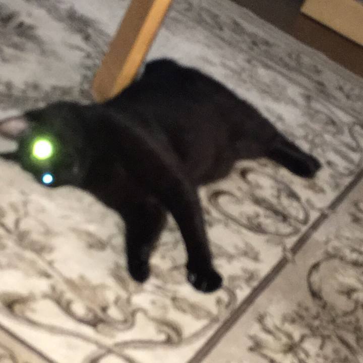 Dad1386b 5192 48d5 8cbe 1af70e99ca9a