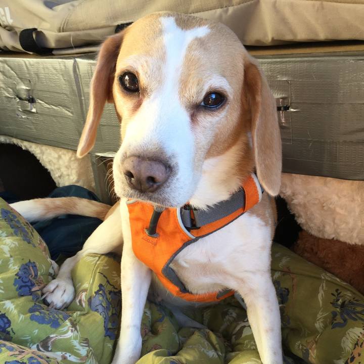 Dad1badc 1339 456c bdaf 7f66a8f20151