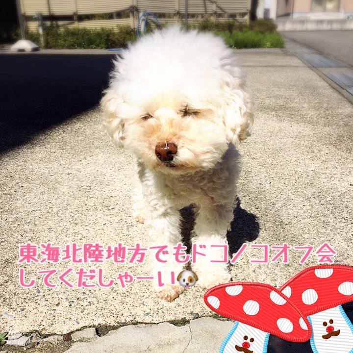 Dad1d82f fc04 430a a368 52bfd9a80e4e