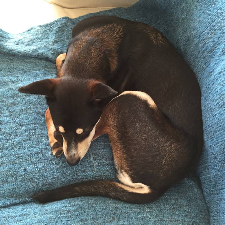 Dad1f480 d497 46c8 be16 e7ec8b7cadf0