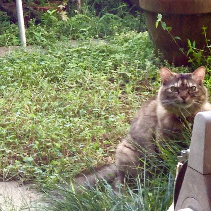 Dad21a2c 33a3 4311 8fe0 b55382ad65d0