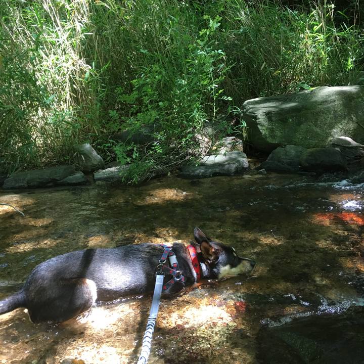 Dad24ca8 896c 4229 a036 d8a668b515b2