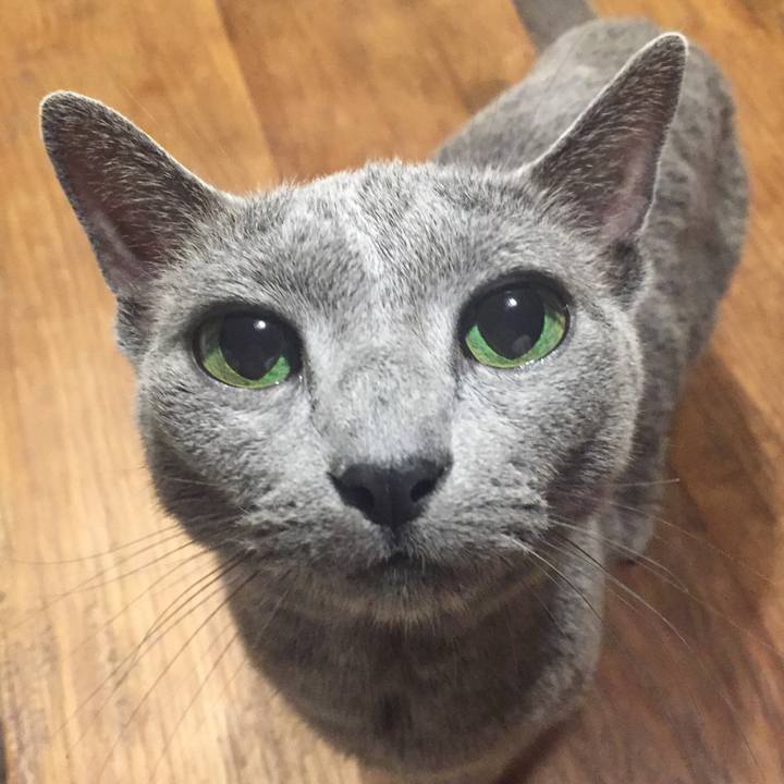 Dad286db 7b6e 4a0f b0fb 97449a8a7342