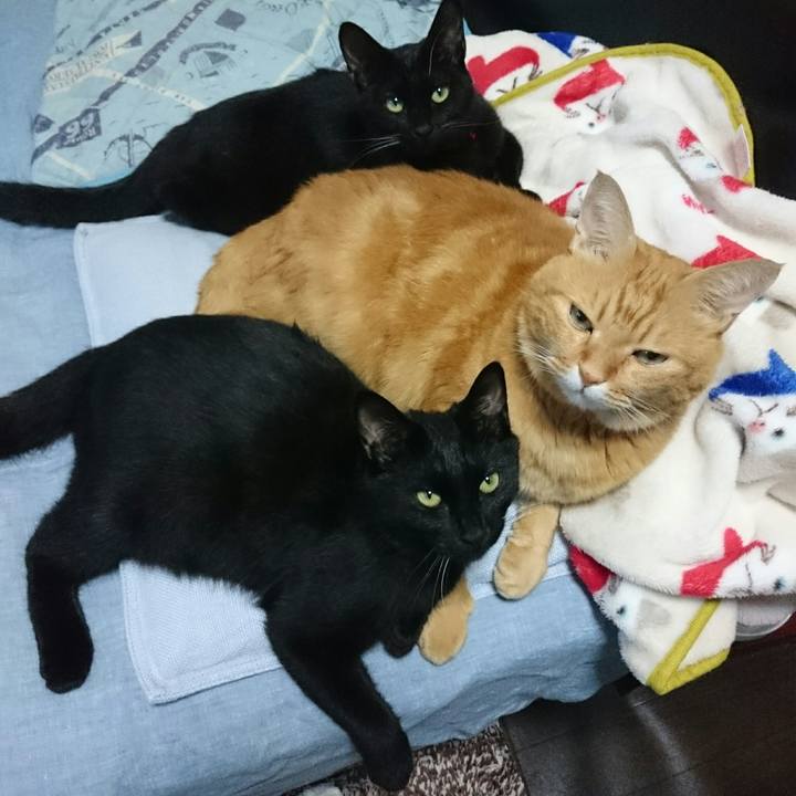 Dad28fd1 f72a 4bc0 b152 bf6e9bc4421d