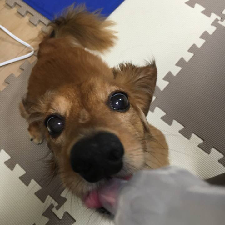 Dad3b083 fdf4 4699 a87a 0a94eb420478