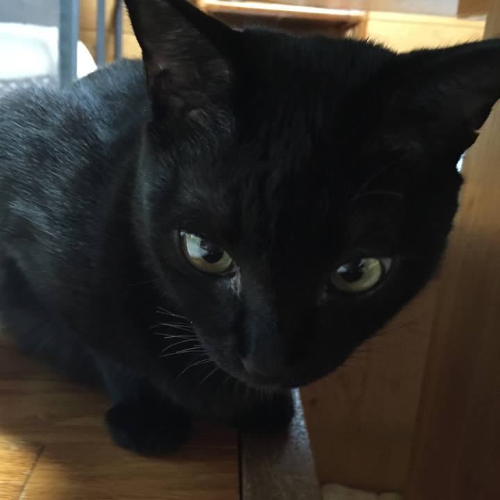 Dad41e6d 2826 48f7 ae43 0fbec06e1454