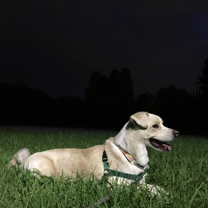 Dad48ad8 9aad 4771 8553 5f87598f536d