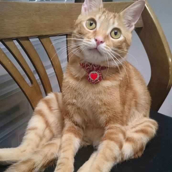 Dad4a192 bc47 45f2 9fd0 d804652944bc