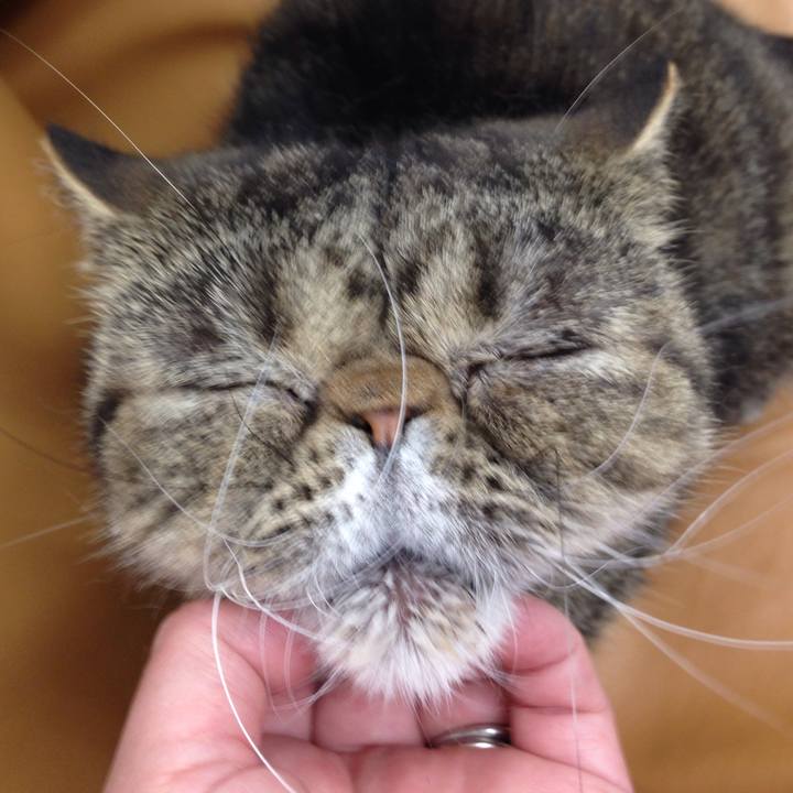 Dad522ff 9ef8 48c6 ac1d 906f74ed348f