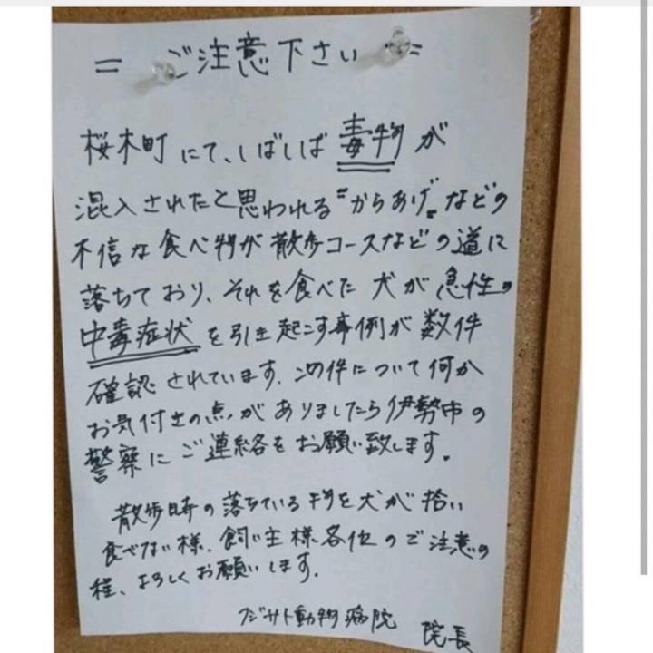 Dad53e19 2145 4b7d 8b46 fdcfb3252793