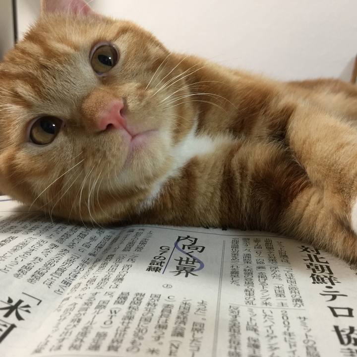 Dad6558a cee7 4e4f 88fc d08e8272c80a