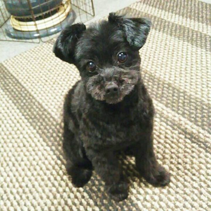 Dad6589d 5cec 4578 a80a 1881ac243aee