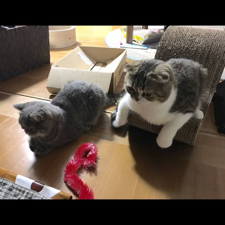 Dad6973a a425 4d57 861e 653c30905fcf