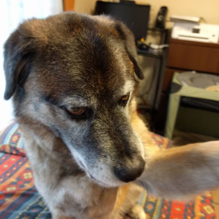 Dad69e3a abba 46b9 84ec 4c8f3d529e5b