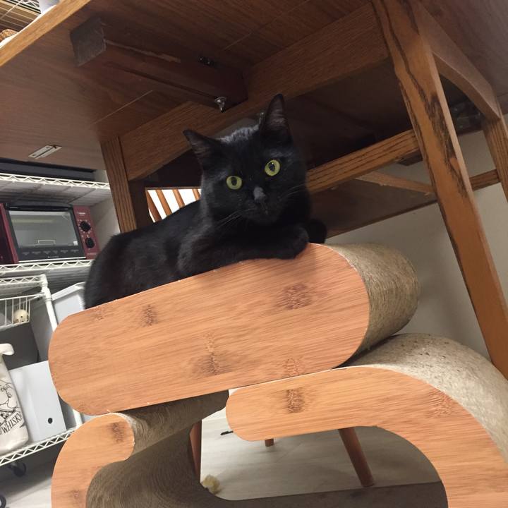 Dad6b91c effd 4fc8 8351 c84928a4cb15