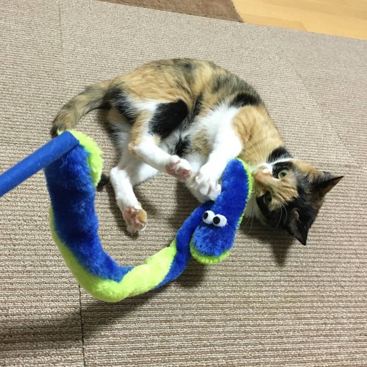 Dad6ed53 a0af 4d7a a318 c3ccd28ed1fd