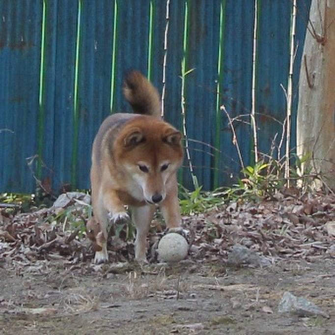 Dad7305a 4379 42b2 b802 4d275cd32b39