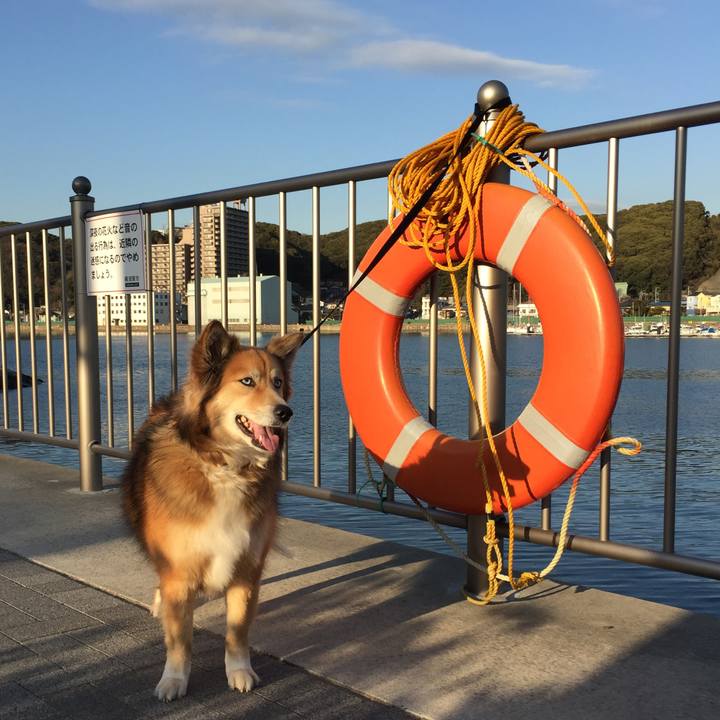 Dad7c025 ab02 45a6 99d5 f549f61da837