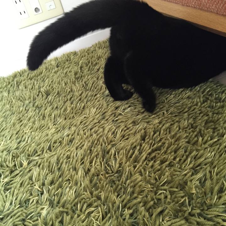 Dad7c212 0608 4168 ad91 1583e5babd13