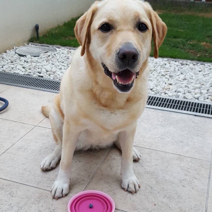 Dad81fbb 7d9c 44ef 8801 93938d918a40