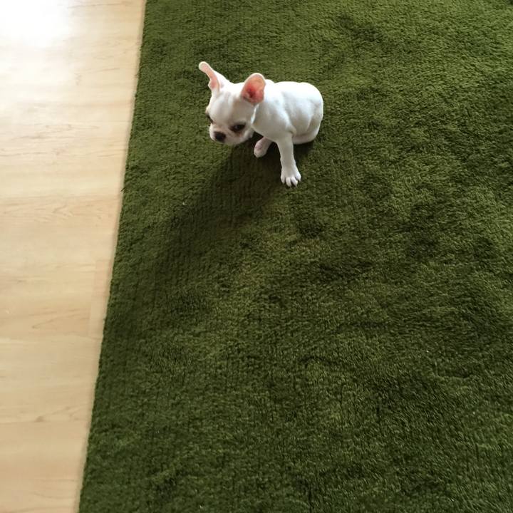 Dad856fe b494 4ac9 97e8 8bec6a87e7ec