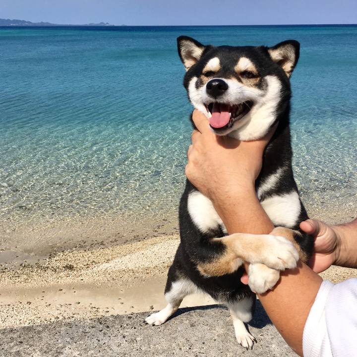 Dada267f f9e7 4ba8 86db 2d6c967a61df