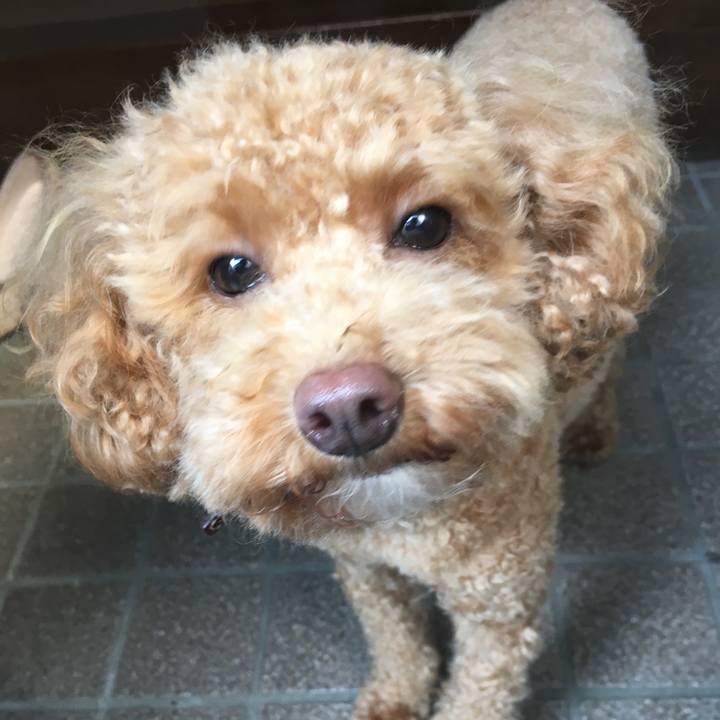 Dadb6a69 eb56 4b3b bc14 d6527fa6ae17