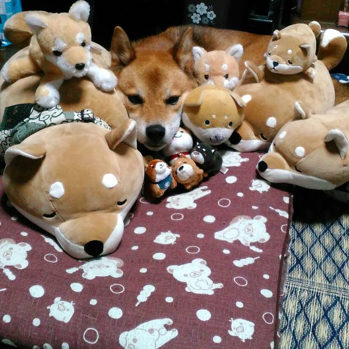 Dadc793d effe 441e 921c cfeac5c34093