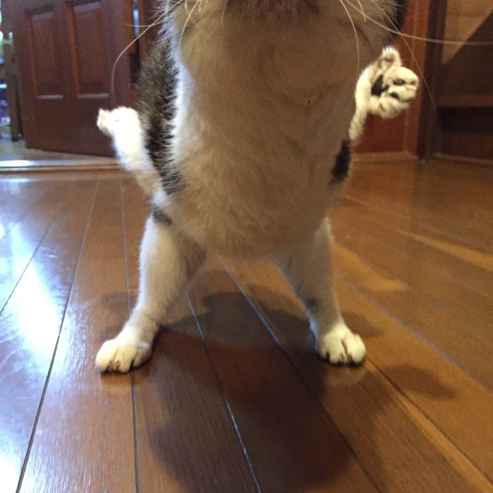 Dadd160c 99c6 406d be95 31fc46c61f51