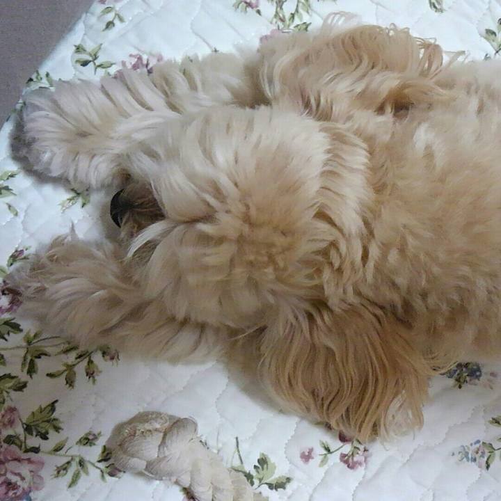 Dadd64e3 8189 4262 8caa fd49e3984721