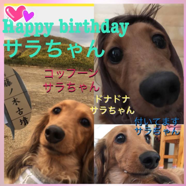 Dadd8764 2e5d 415a bd93 878e0f9495a3