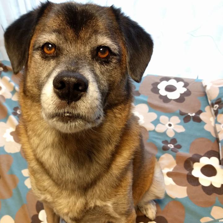 Dadddace 5f12 4daf a751 811e7ebe2752