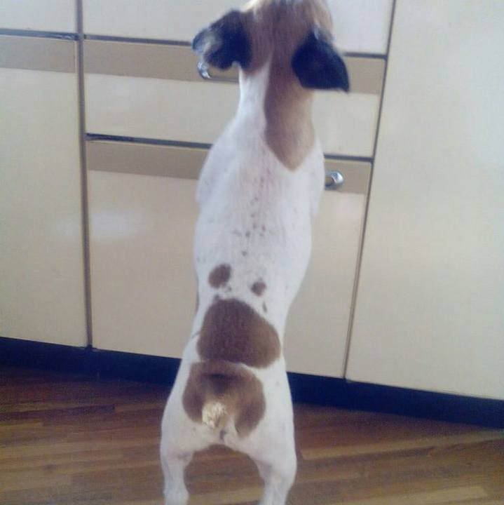 Dade86be 393c 4e89 9bb1 27f46dca42e1