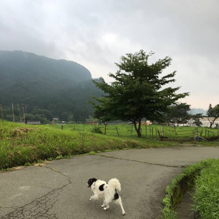 Dade8de5 9328 47c3 938a 743f325a8c63