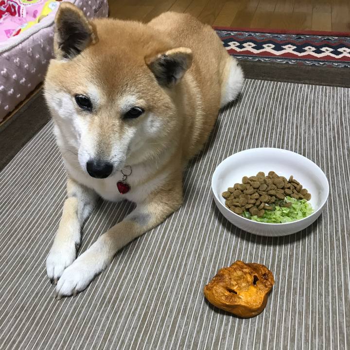 Dadfb793 591e 4819 89e0 0157a48146a8