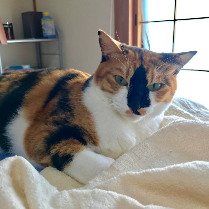 Dadfd53a 64dc 4ab6 b0ca 40718936b8ee