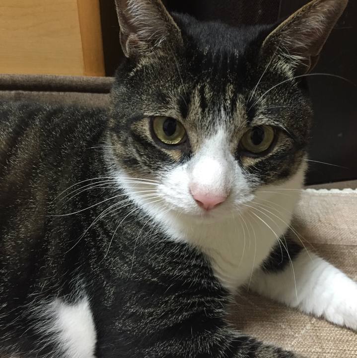 Dadff8b5 b5ae 44a4 8098 2156aed46208