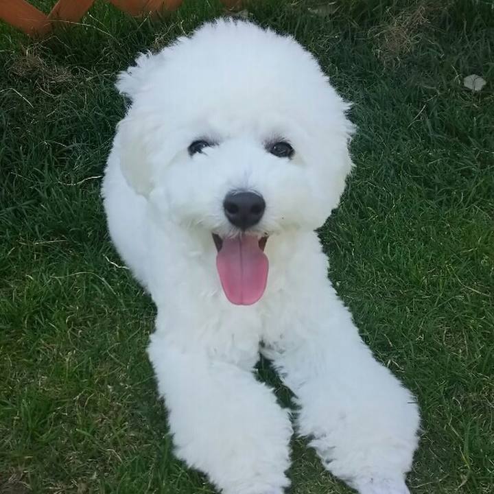 Dae06d5f dc64 4d2c 90fc 46096a6cf721