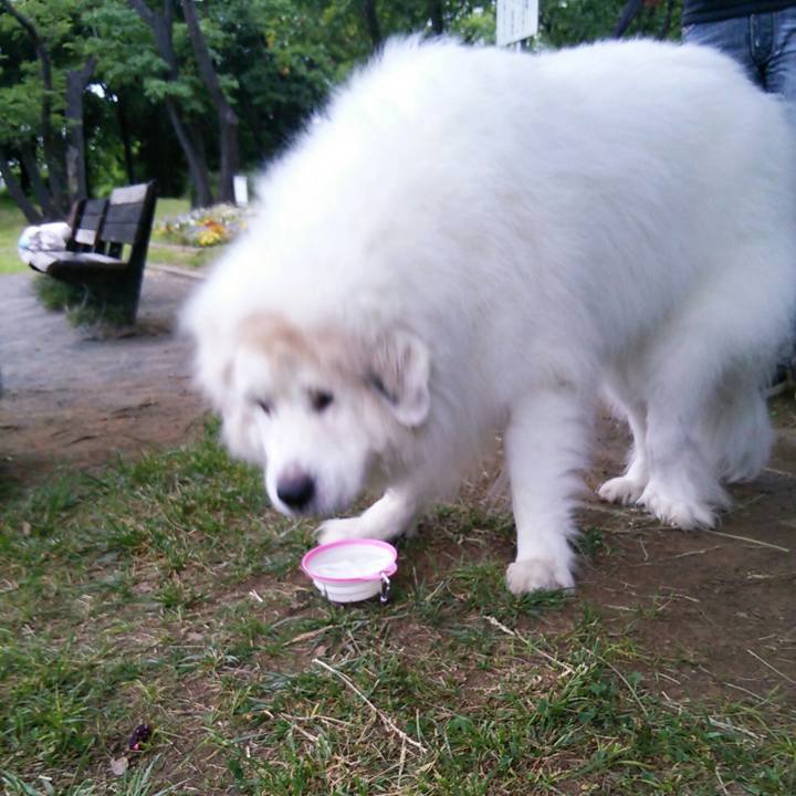 Dae0ac33 29b0 4734 81af 24aa4bf749b8