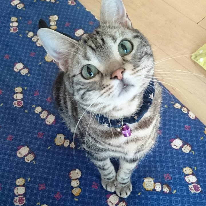 Dae0dabc f3da 453f b075 40fa5241d6f2