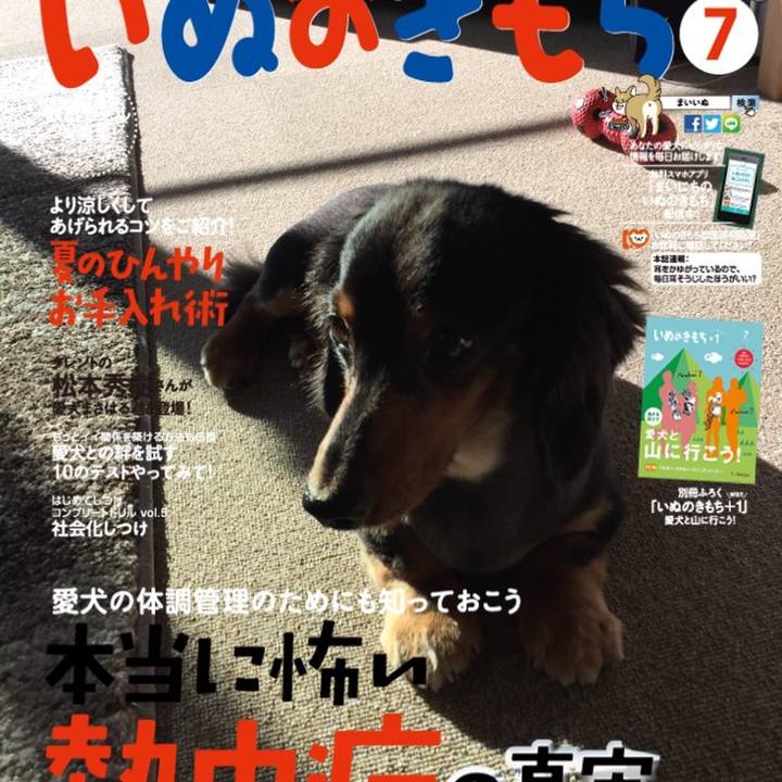 Dae12252 4ebc 4dfe a436 87633a05bb52