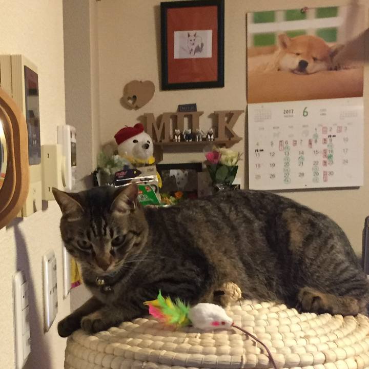 Dae14263 637b 4a84 9452 3370f80dbb3e