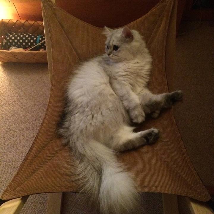 Dae1c611 29f9 4d53 b468 7accc83a6590