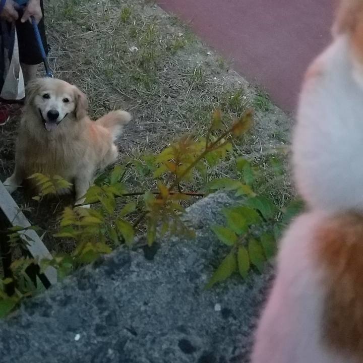 Dae1e8aa 0f9d 485b 8c79 4dd392d05a65