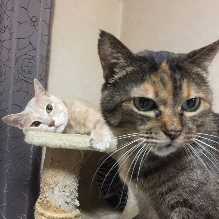 Dae20df9 6162 4198 a3ac eb25e1b94525