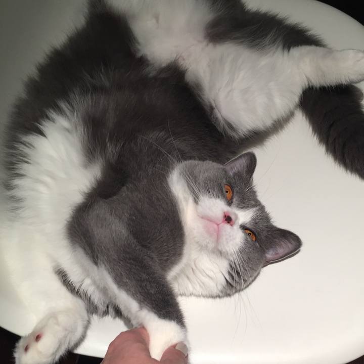 Dae22885 9303 4902 8dda d32daefe077a