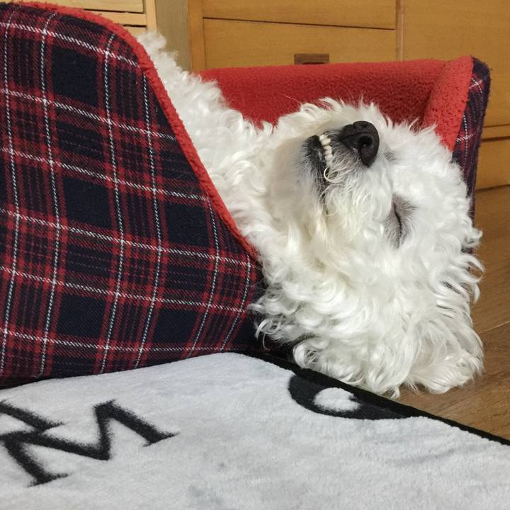 Dae2b0aa 3896 4ced 83f1 6bc701922bdc